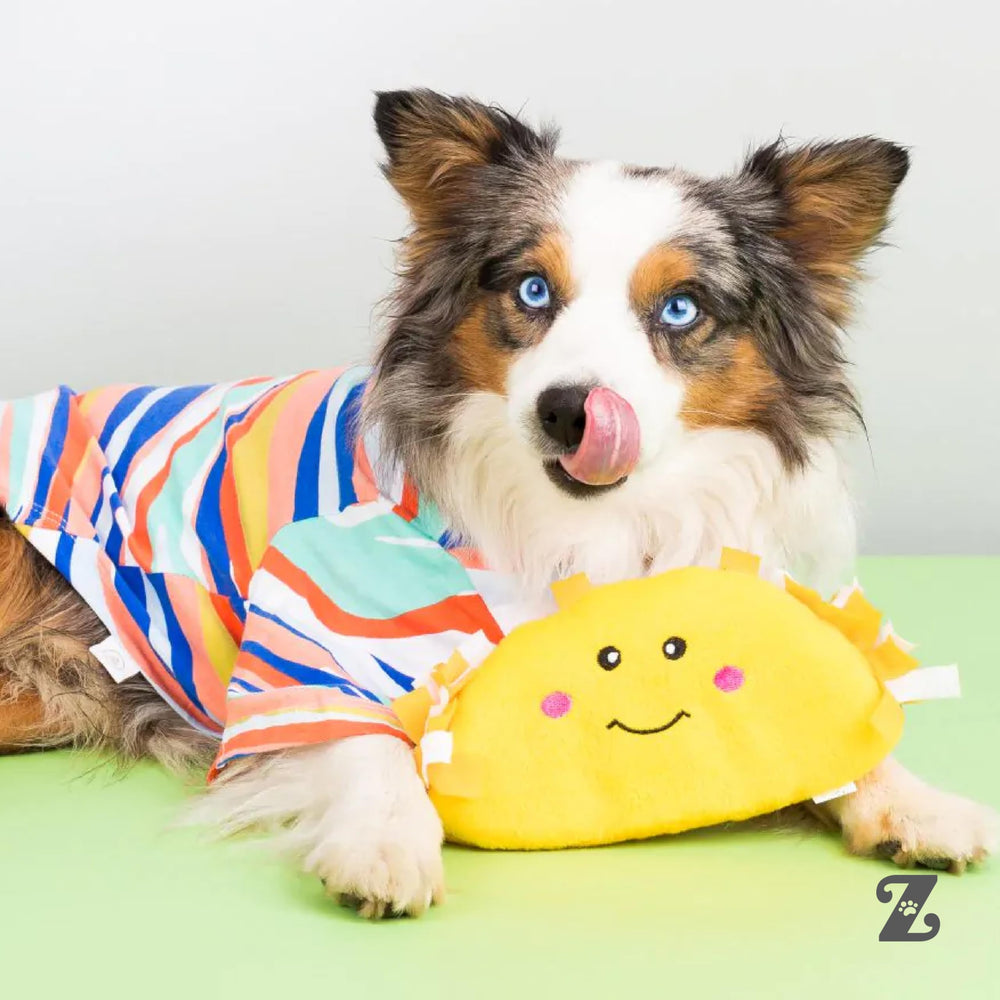 NomNomz Taco usage pour petits chiens, confort et plaisir.