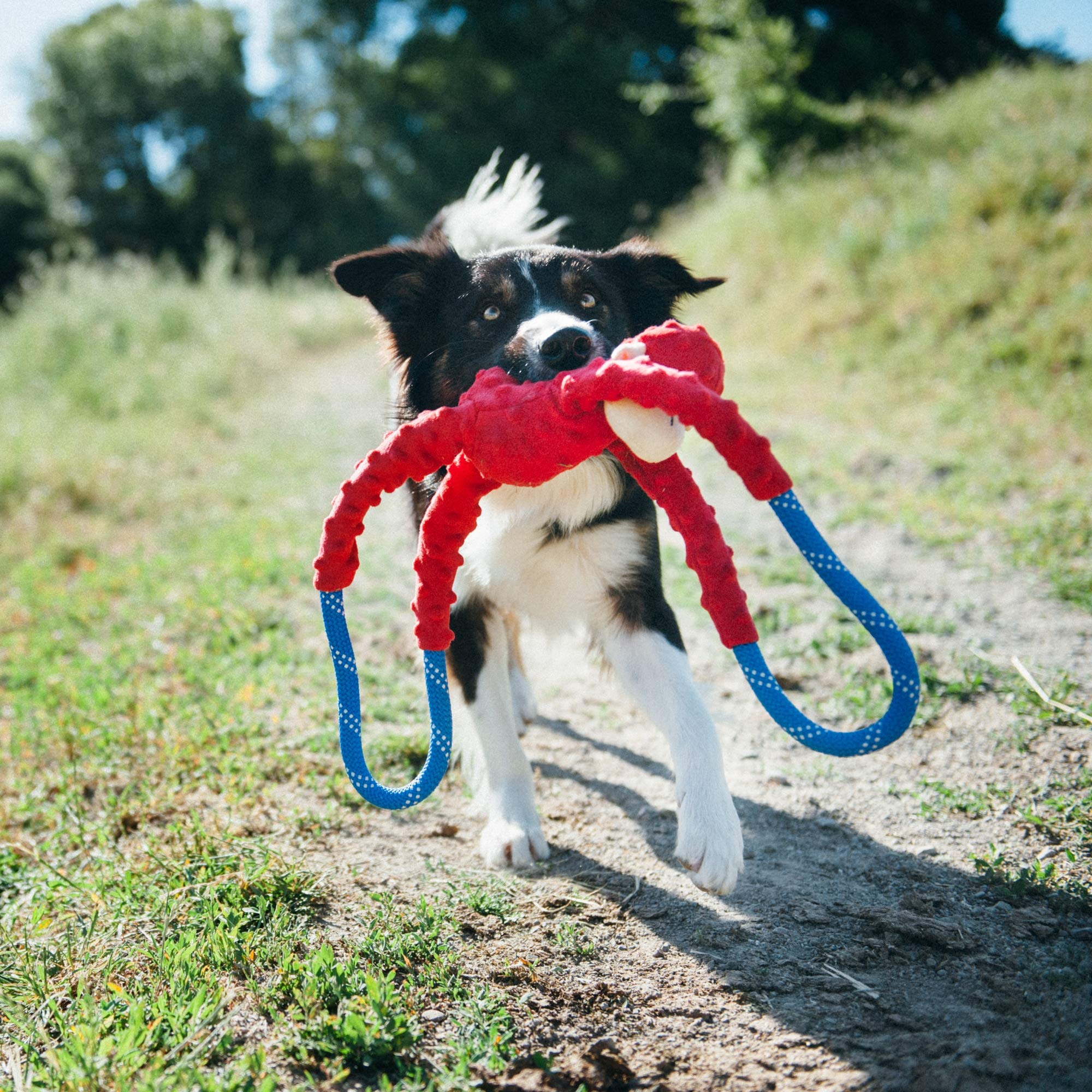 ZippyPaws RopeTugz présente la peluche douce idéale pour câlins après le jeu.