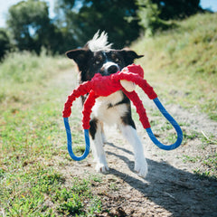 ZippyPaws RopeTugz présente la peluche douce idéale pour câlins après le jeu.