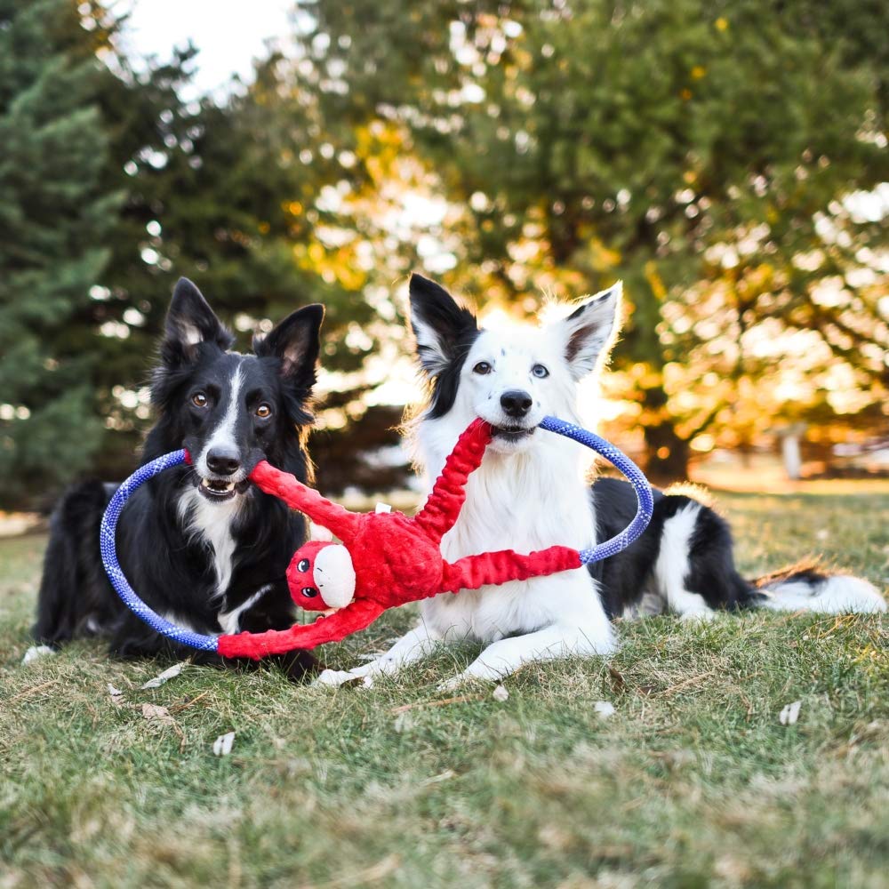 ZippyPaws RopeTugz met en avant le sifflet rond pour stimuler l’attention.