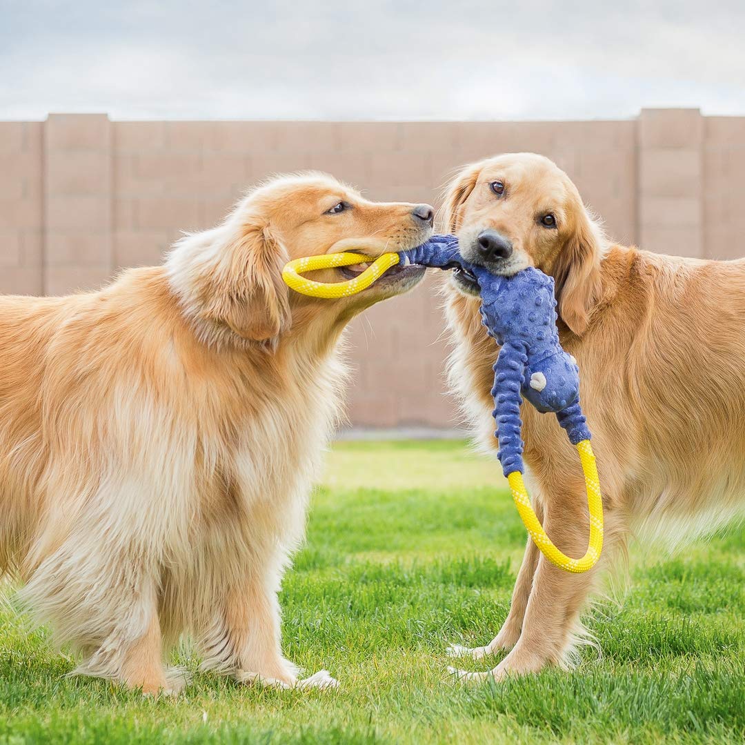 ZippyPaws RopeTugz corde escalade forte, parfait pour tir et jeux énergiques