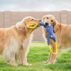 ZippyPaws RopeTugz corde escalade forte, parfait pour tir et jeux énergiques