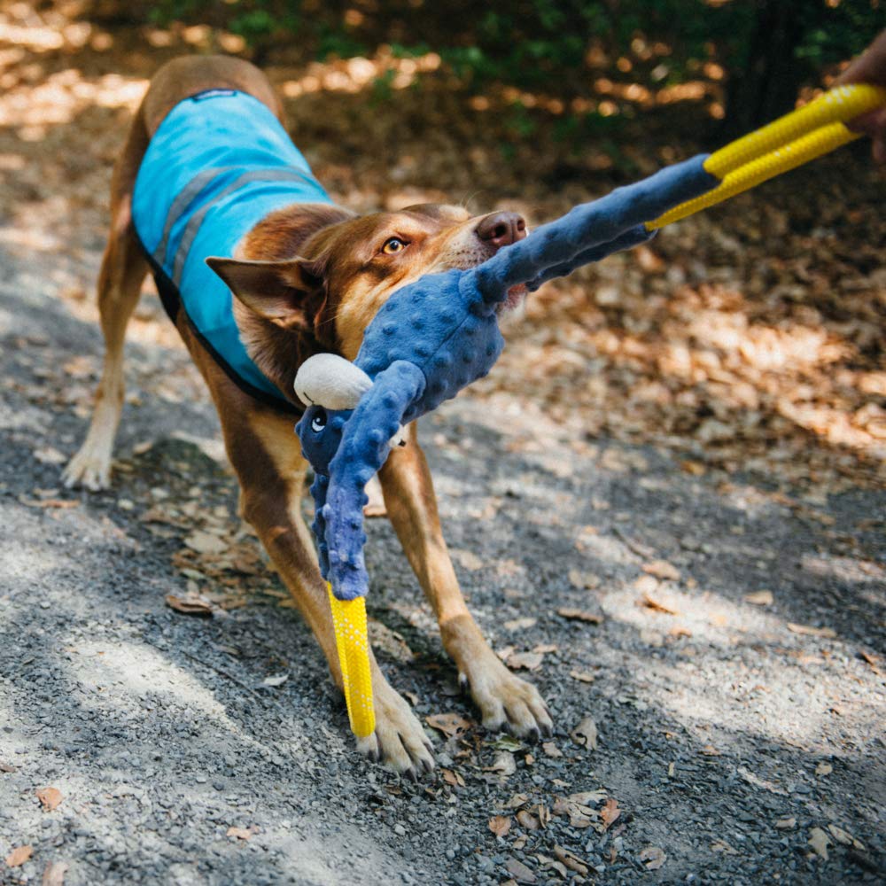 ZippyPaws RopeTugz interaction tug, jouet interactif pour chiens de toutes tailles