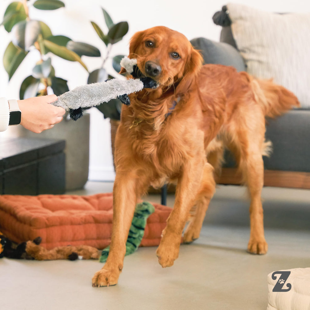 ZippyPaws Skinny Peltz ensemble sans garniture, nettoyage facilité