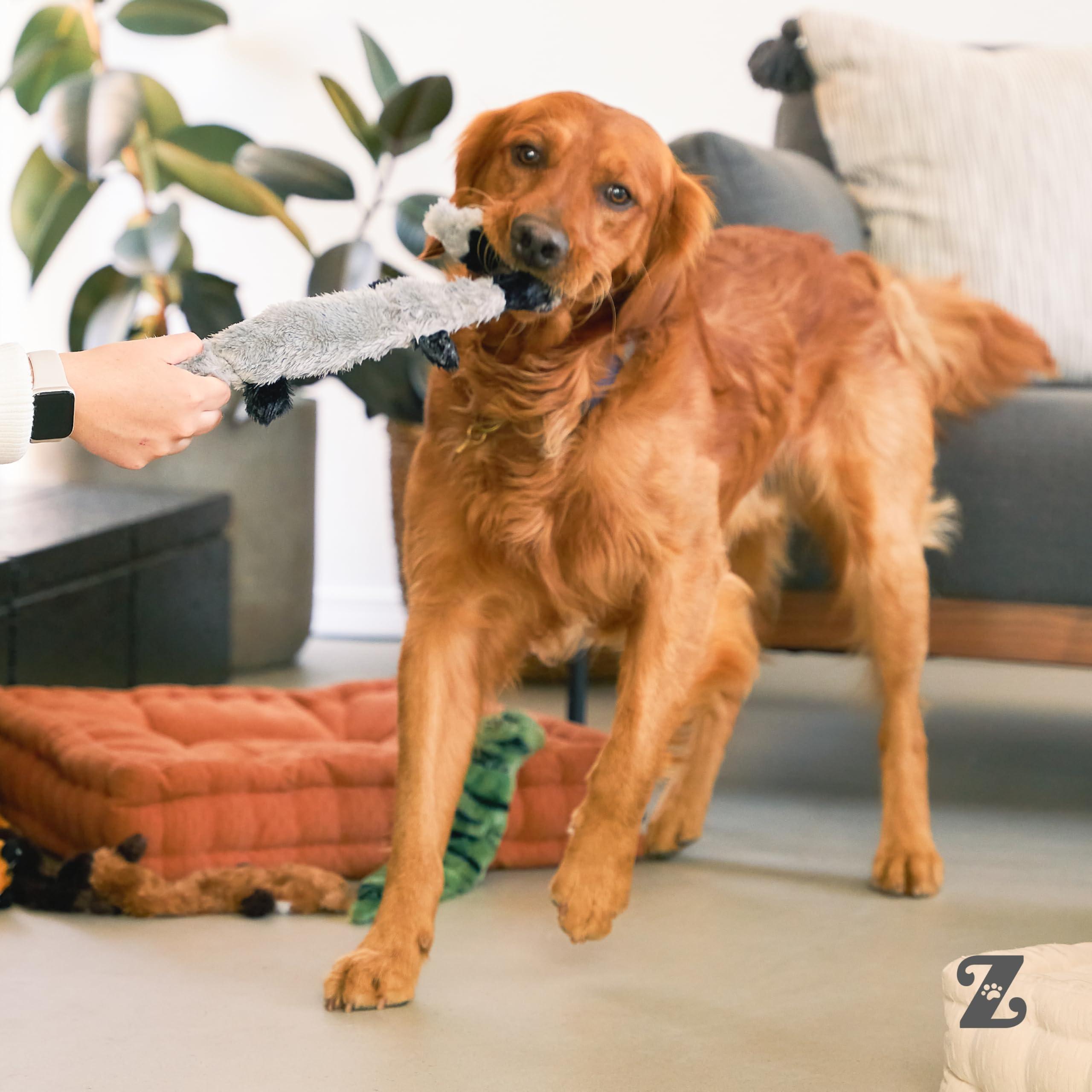 ZippyPaws Skinny Peltz sans rembourrage ecureuil, texture molle pour jeux interactifs