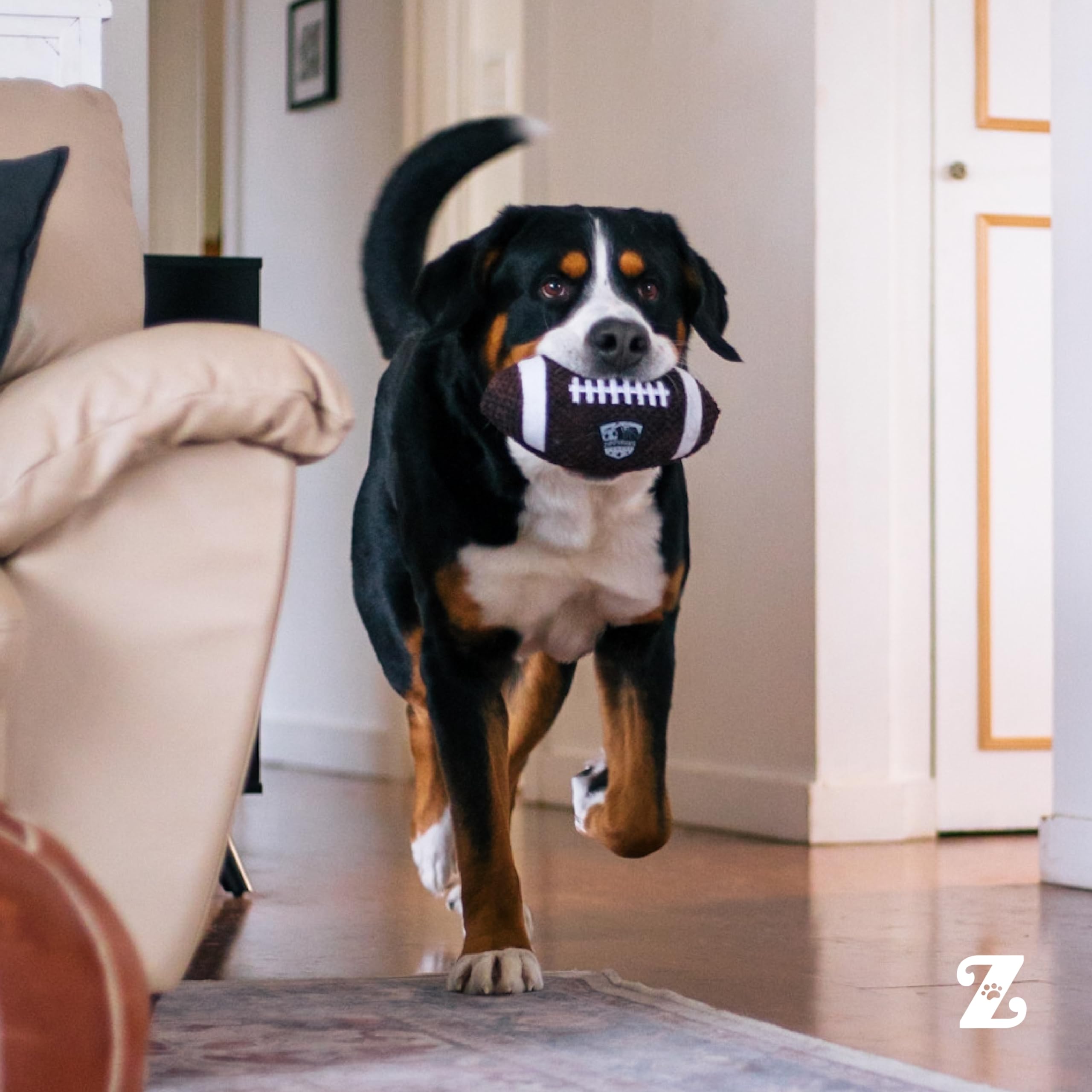 Peluche SportsBallz prête à être lancée et rapportée lors des séances quotidiennes.