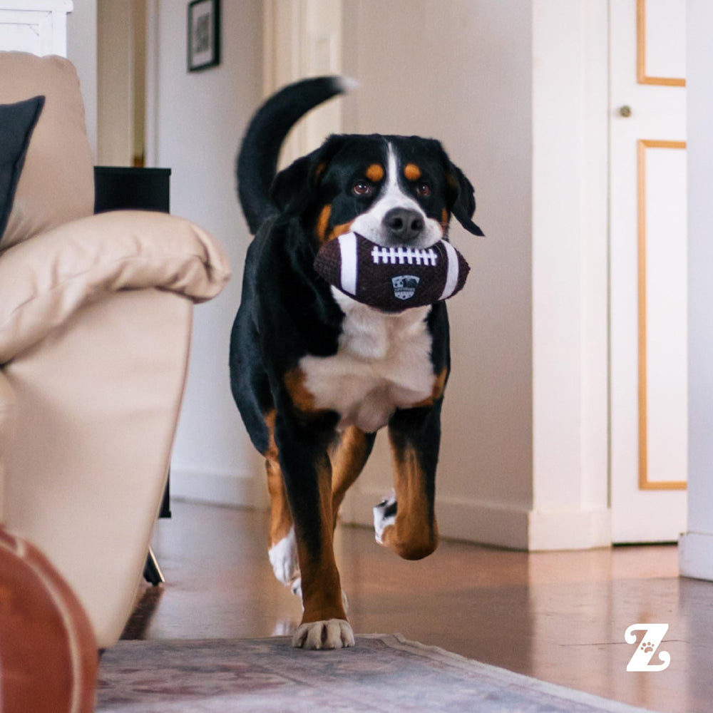 Peluche SportsBallz prête à être lancée et rapportée lors des séances quotidiennes.