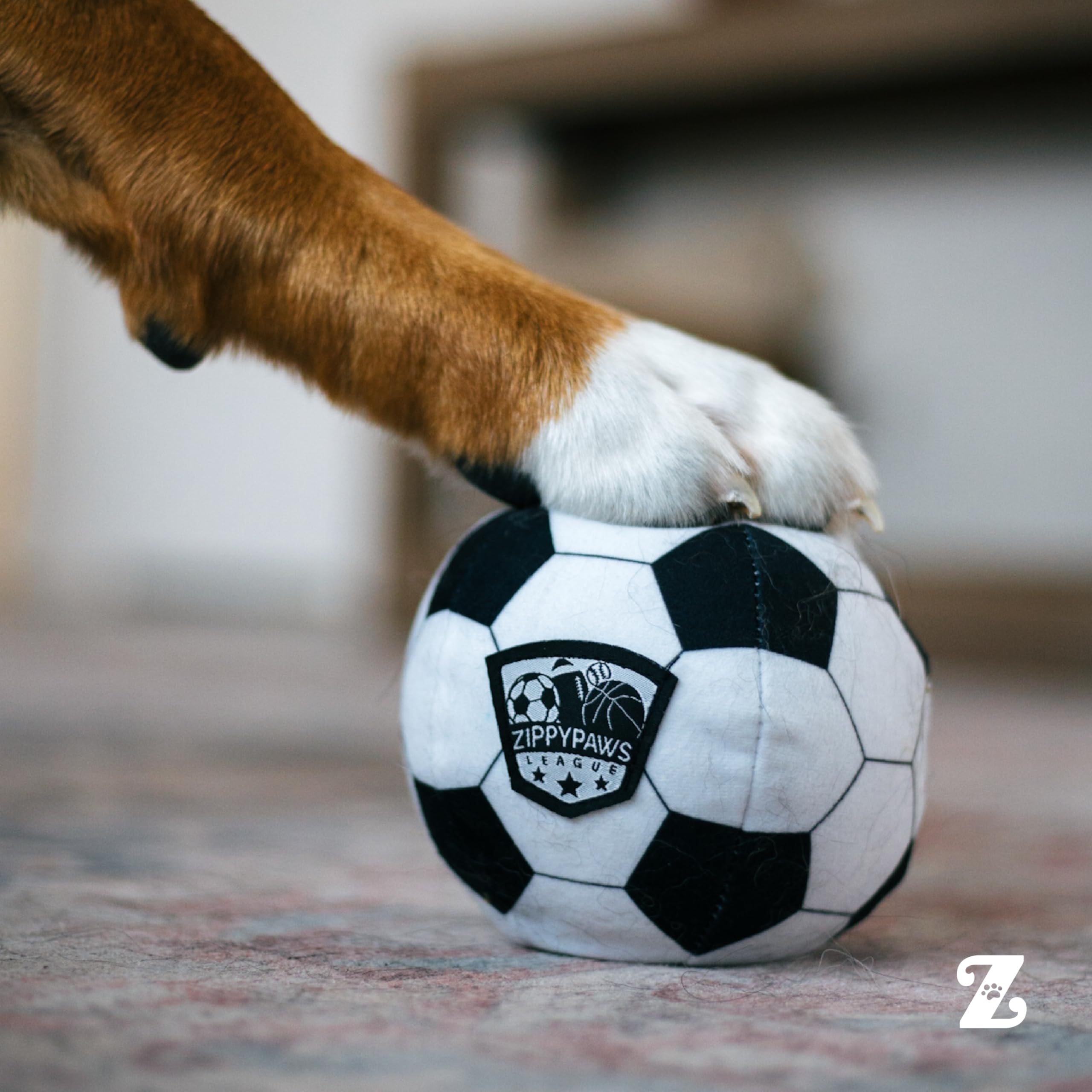 Idéal comme jouet interactif pour chien, stimulant et divertissant.