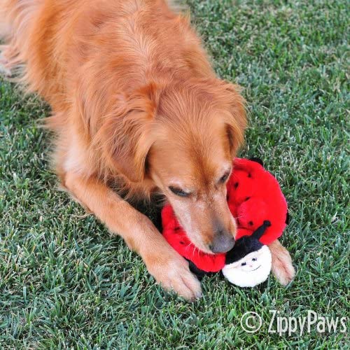 ZippyPaws Squeakie Crawler Betsey: surface douce pour jeu confortable.