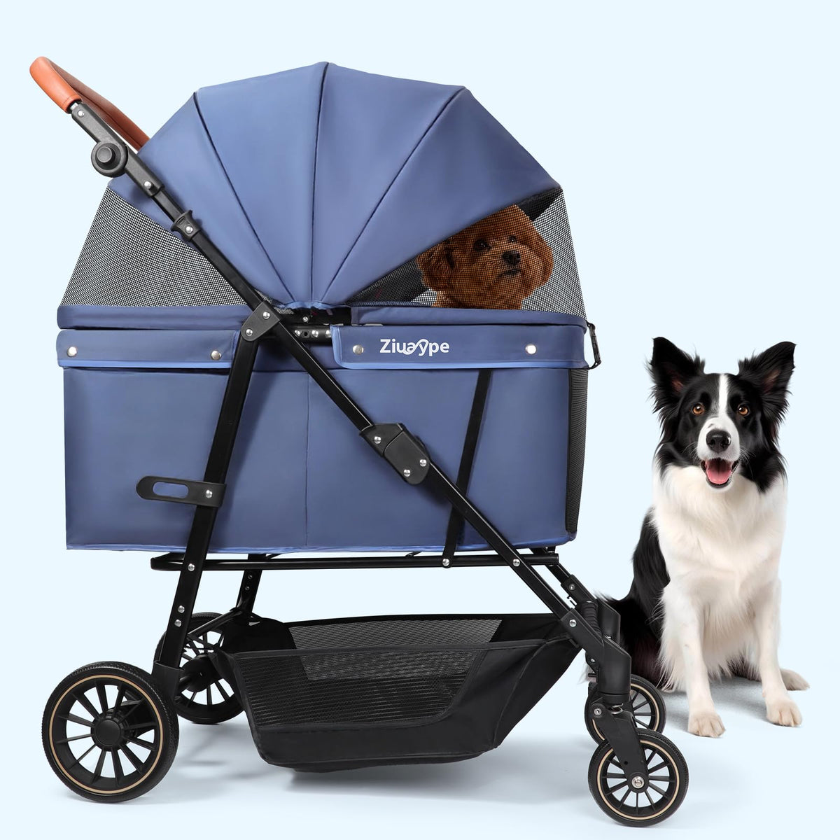 Poussette Ziuaype pour chien grande taille, vue avant, transport sécurisé jusqu'à 60 kg.