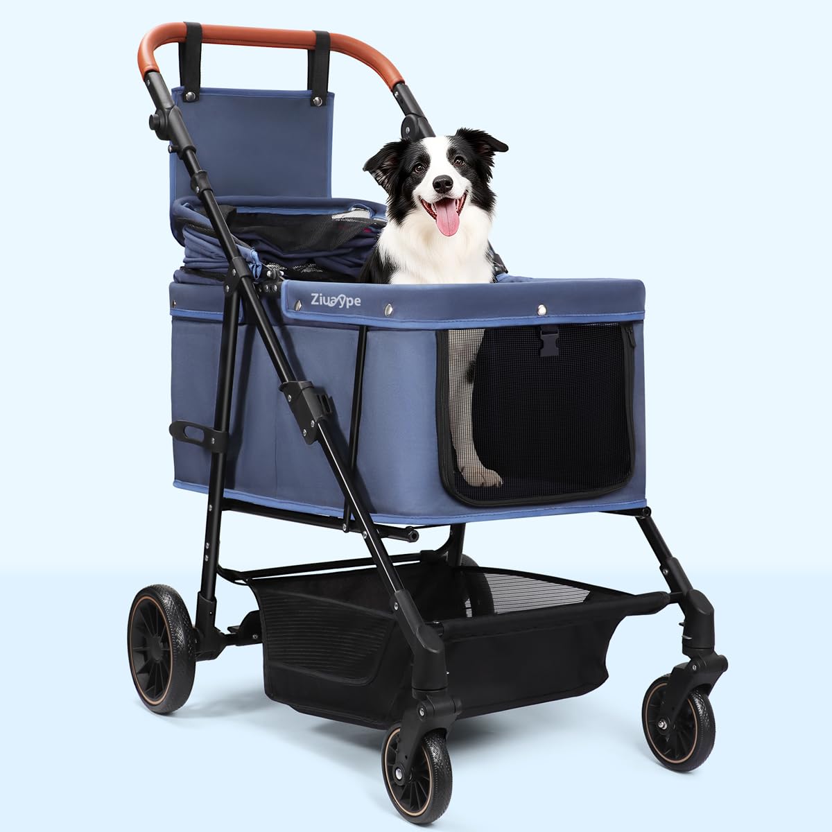 Poussette Ziuaype, intérieur ouvert, espace pour plusieurs petits chiens.