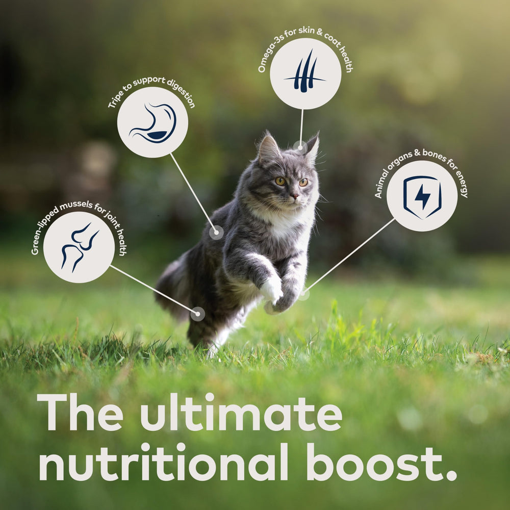 Super-aliments Ziwi Peak pour digestion, articulations et peau du chat