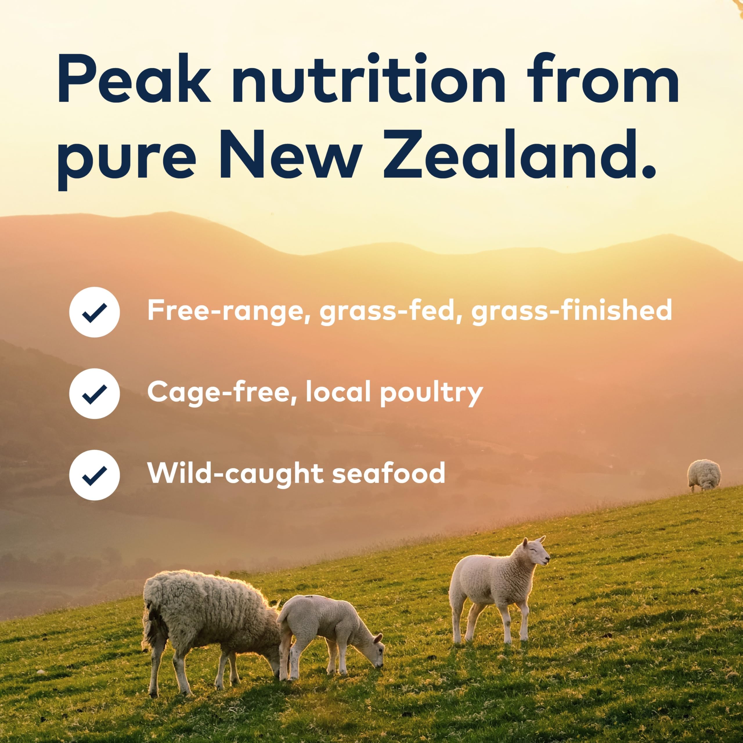 ZIWI Peak pâté venaison en conserve, goût naturel et repas équilibré.