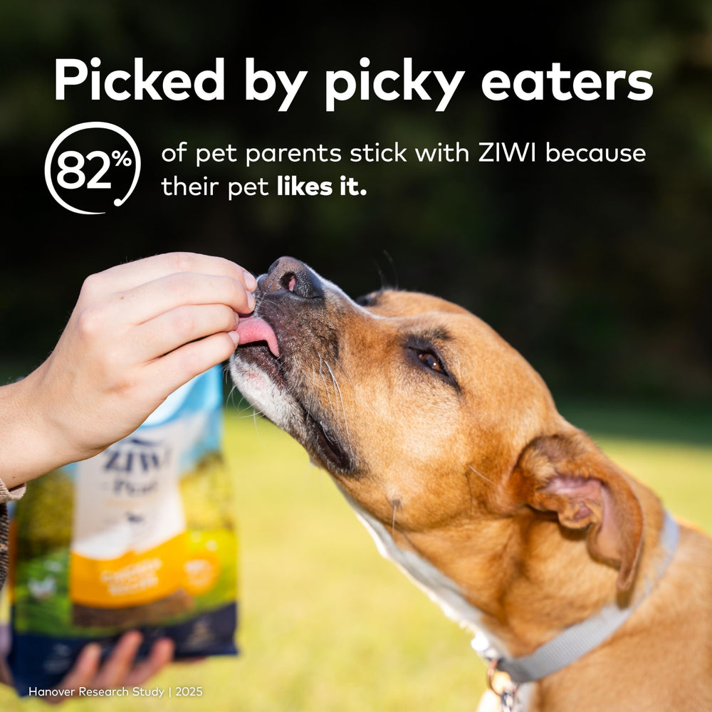 ZIWI Peak pelage brillant, nutrition pour un poil sain et éclatant.