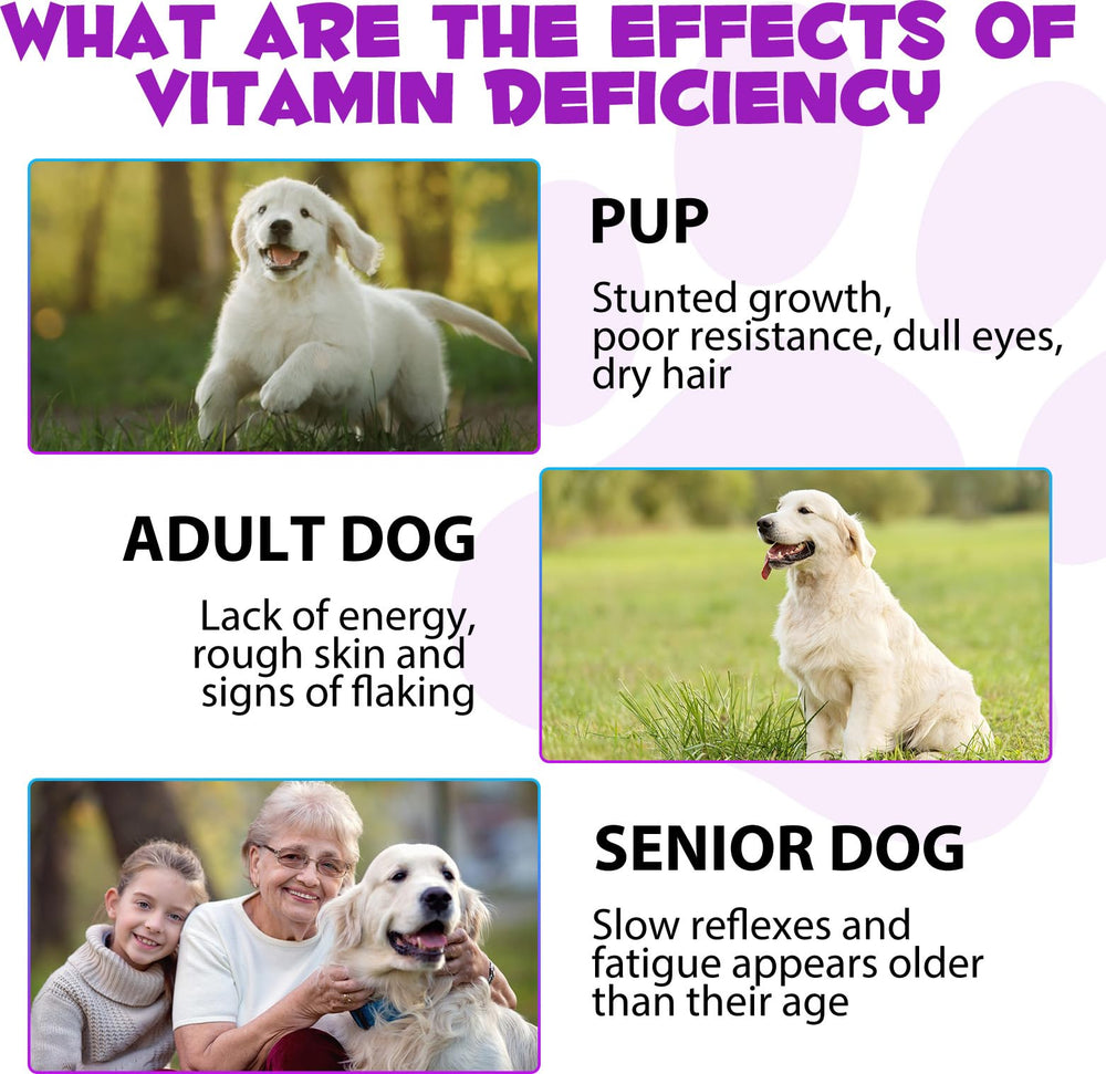 Gouttes ZIXAOK pour chien, peau et poil plus sains.