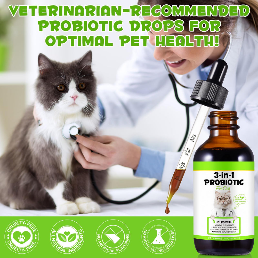 ZIXBMHYJ Santé intestinale chat: soutien quotidien et énergie.
