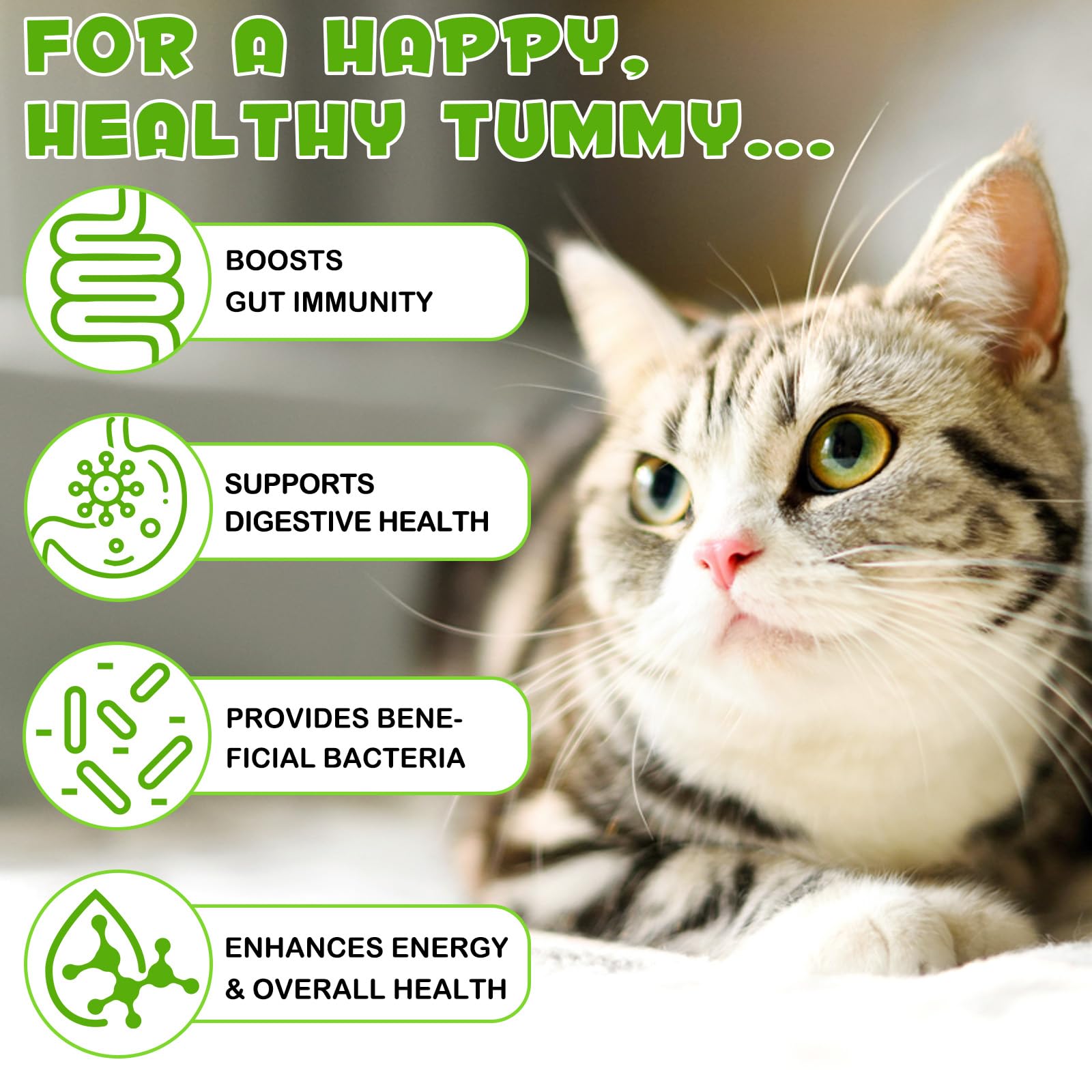 ZIXBMHYJ Probiotiques pour chats: soutien immunitaire et barrière intestinale.
