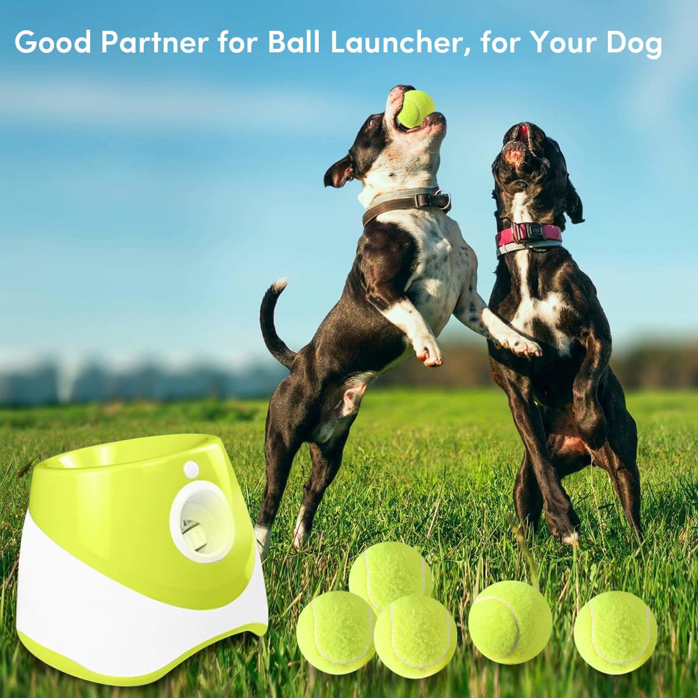 ZIYIZE balles tennis à couleurs vives, haute visibilité pour le fetch.