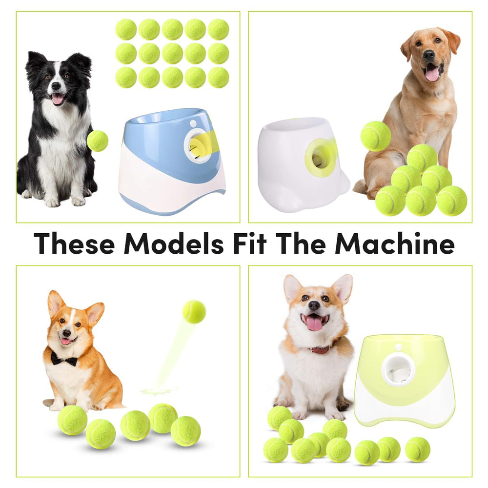 ZIYIZE utilisation avec lance-balle pour chien, entraînement et plaisir.