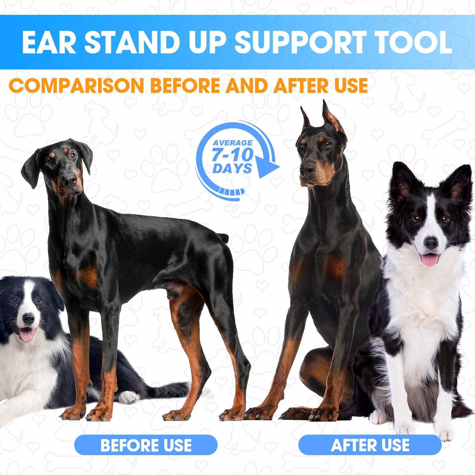 Guide d’utilisation ziyue – kit oreilles Doberman: conseils et vérifications régulières.