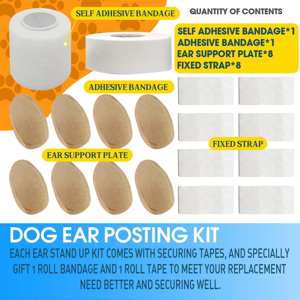 Kit ziyue pour oreilles de Doberman – ensemble 2: ajustement sur mesure et sûr.