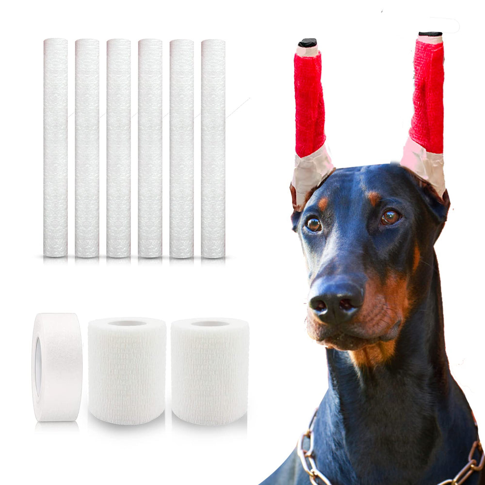 Kit ziyue pour poster les oreilles Doberman, soutien sûr et durable.