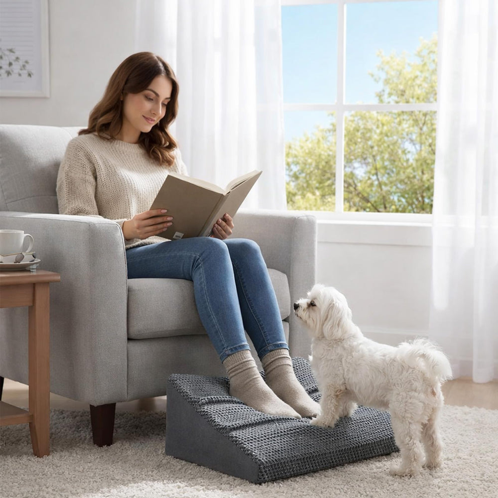 Convient pour animaux jusqu'à 30 lb avec durabilité et usage quotidien.