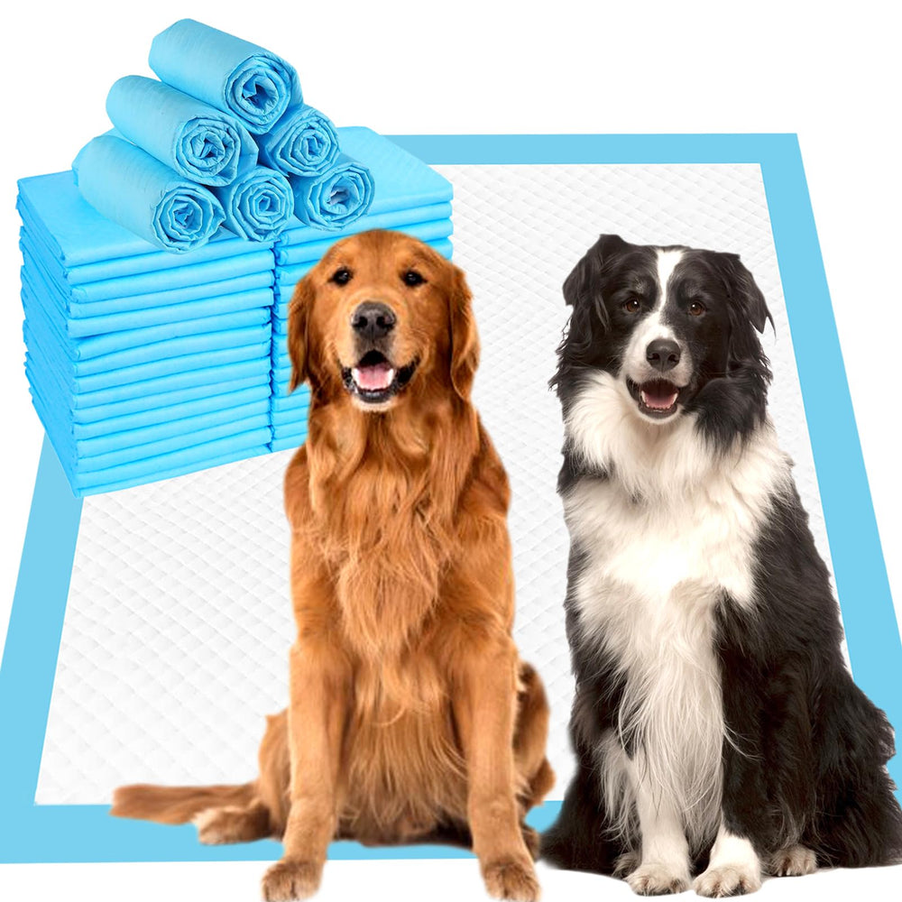 Tapis-pipi ZJYXJK tres-grande 36x36 pour chiens, absorption rapide.