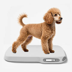 ZLZDIGIH-XB balance animale petit chien: précision fiable pour suivre le poids.