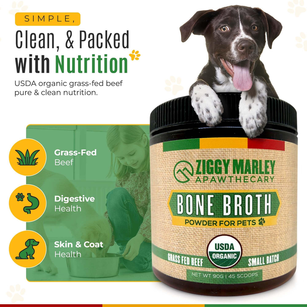 Préparation chaude du bouillon ZMA Pets Ziggy Marley en poudre pour enrichir les repas