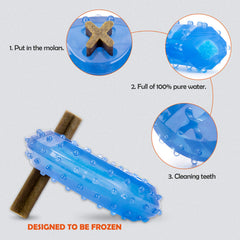 ZNOKA Arctic Freeze dispositif de relief du stress congélable, parfait pour les chiens nerveux.