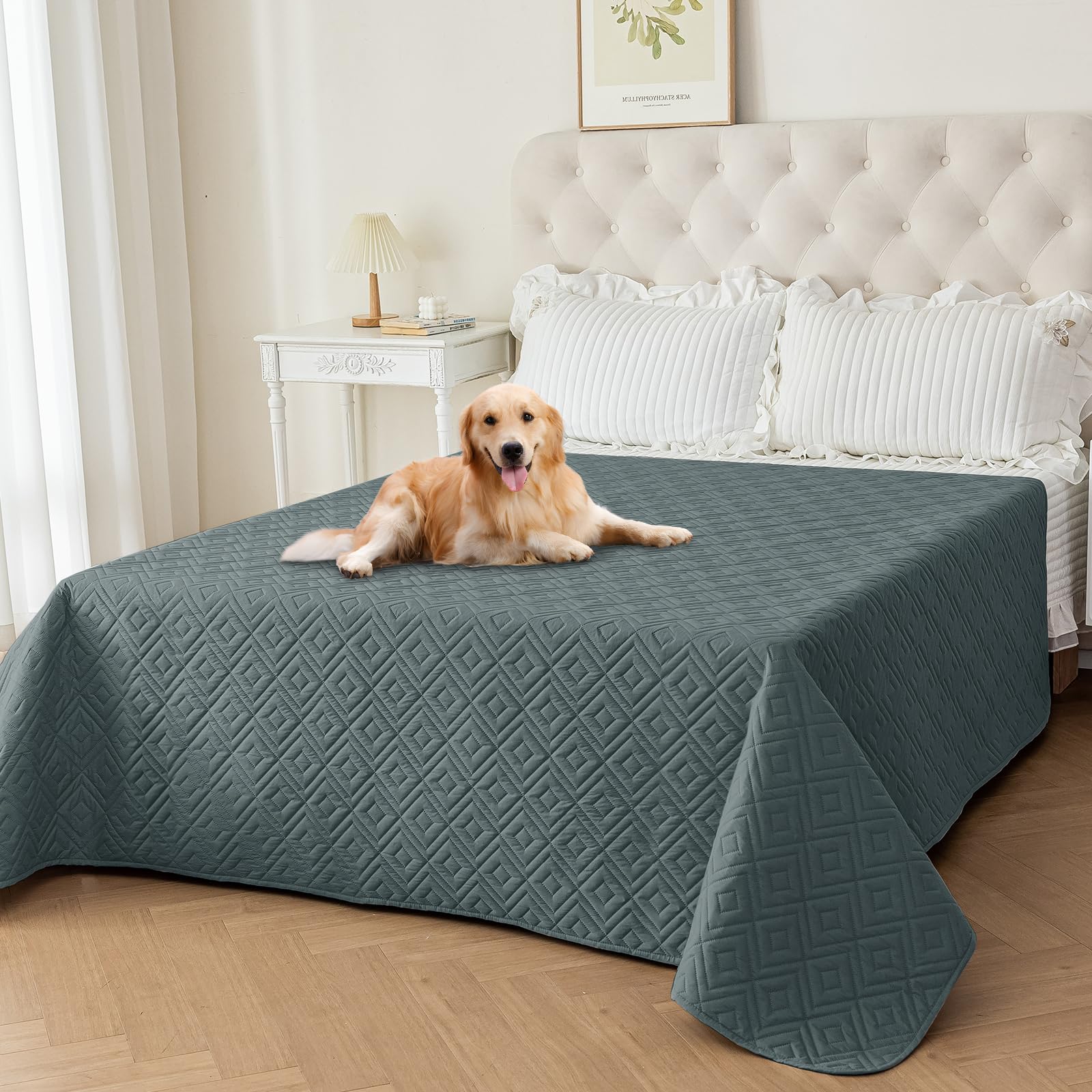 ZNSAYOTX Tapis imperméable pour chien sur canapé protégeant le mobilier.