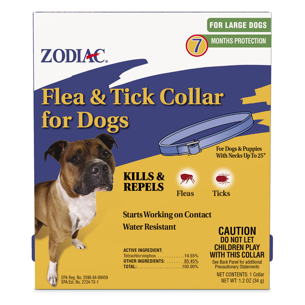 Collier Zodiac pour chien grande taille en cours de port, confort durable et protection.