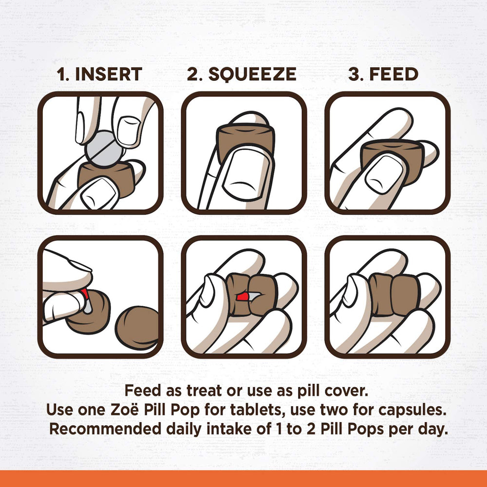 Goût boeuf grillé au gingembre, Zoë Pill Pops, option savoureuse.