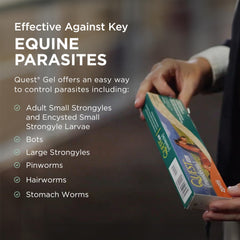 Gel Quest qui se dissolve rapidement sur la langue de l’animal.