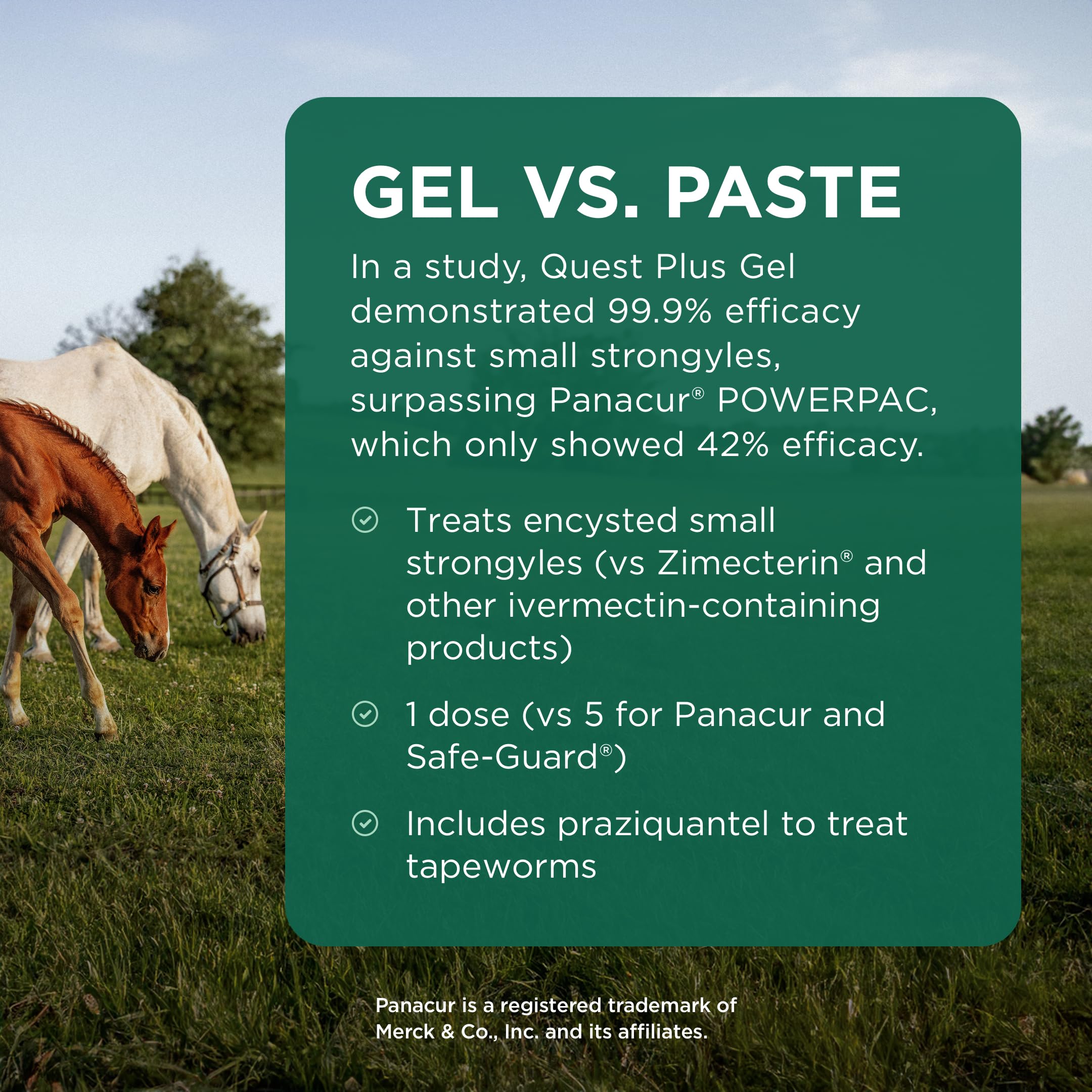 Couverture large de Quest Plus Gel contre divers parasites courants.