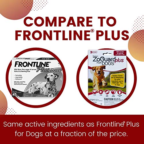 ZoGuard Plus – emballage du produit chien, option économique et fiable.