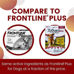 ZoGuard Plus – emballage du produit chien, option économique et fiable.