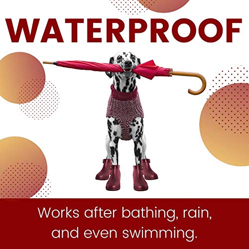 ZoGuard Plus – version imperméable, efficace après bain ou éclaboussures.
