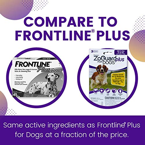 ZoGuard Plus en pipette prête à l'emploi pour chien.