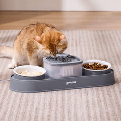 ZOMISIA fontaine-eau-chat-2-en-1-bols-ceramiques: repas paisibles entre chats.