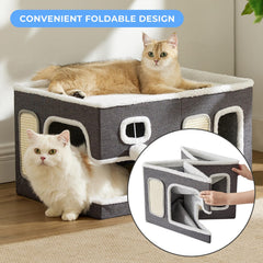 ZOMISIA Maison-chat extra-large – Vue arrière, structure durable face au jeu.