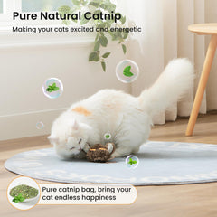 ZOMISIA oiseau-chat avec sac de catnip: éveille l'instinct de jeu et exploration.