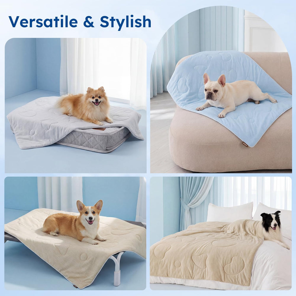 ZOMISIA couverture d'usage quotidien pour animaux actifs et voyages.