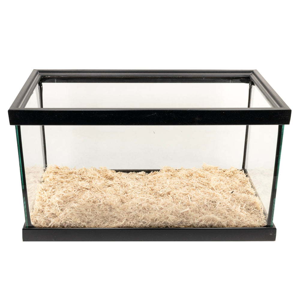 Zoo Med Aspen Snake Bedding facile à nettoyer pour terrarium propre.