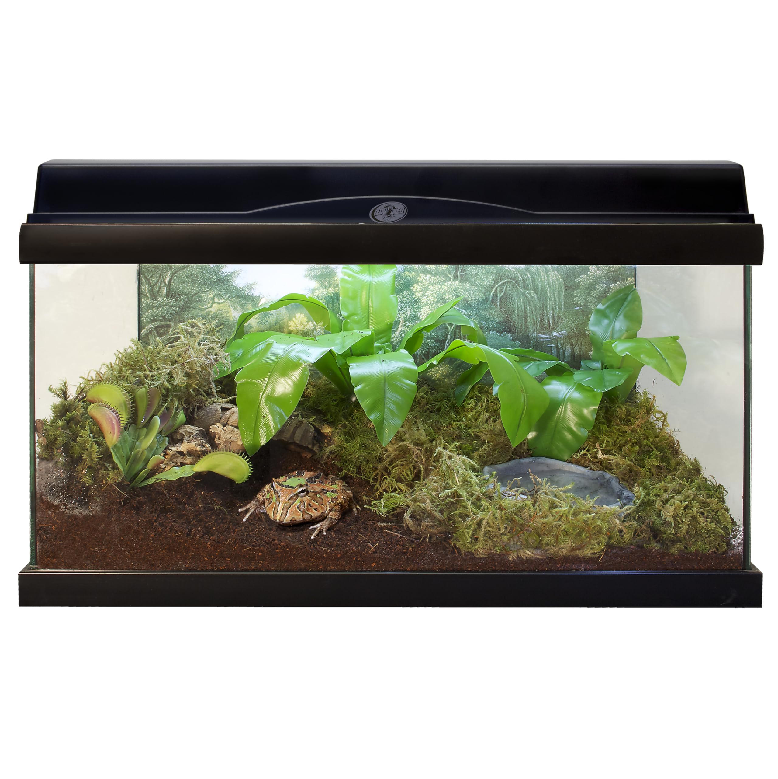 Zoo Med Eco Earth: installation simple dans le terrarium, nettoyage facilité.