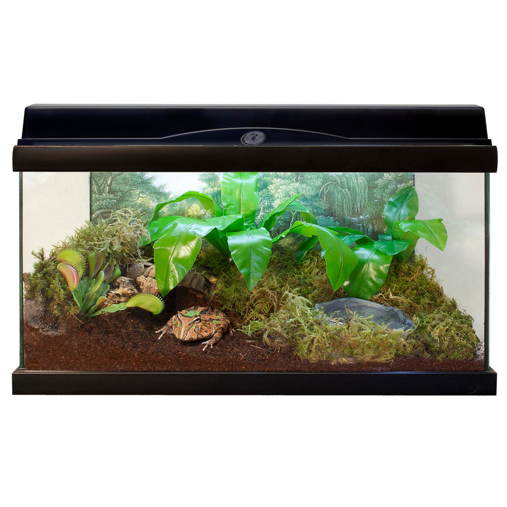Zoo Med Eco Earth: installation simple dans le terrarium, nettoyage facilité.