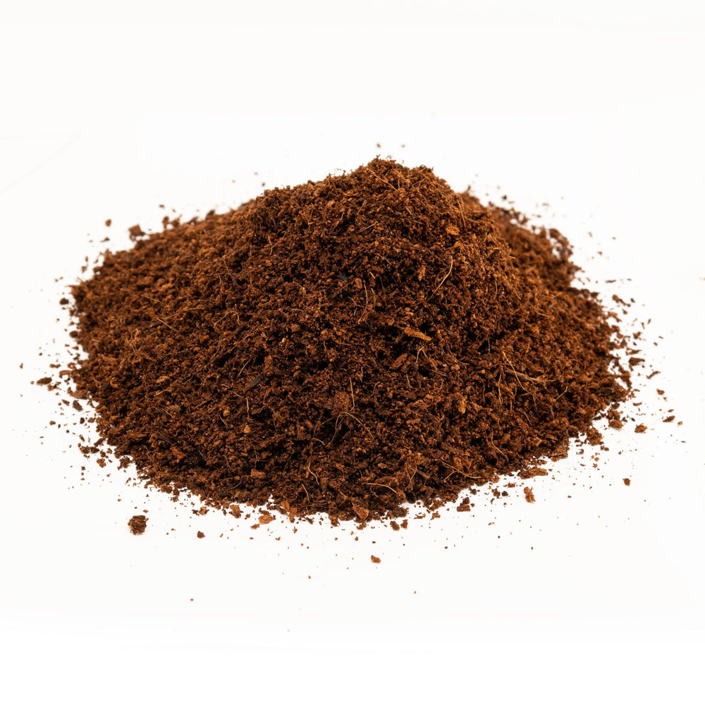 Zoo Med Eco Earth: substrat polyvalent pour reptiles et amphibiens.