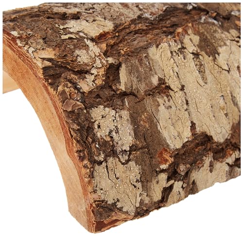 Bois naturel et den authentique favorisant le bien-être.