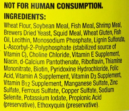 Zoo Med – nourriture coulante de 2,5 oz, pratique pour l’alimentation.